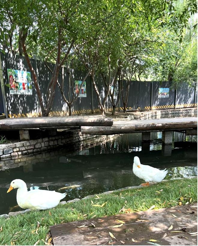 城藏着的“小江南”与浮生闲AG真人平台古三里河：京(图3)